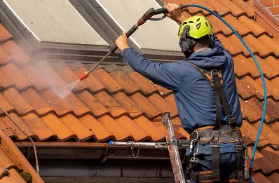 Démoussage et hydrofuge de toiture à Léaz
